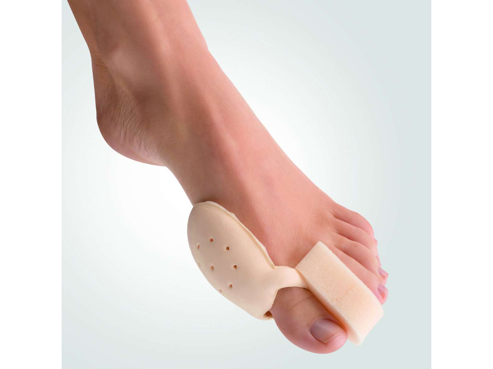 ベルケマン　＃８１４７　バニオンベッダー